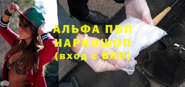 СК Алексин