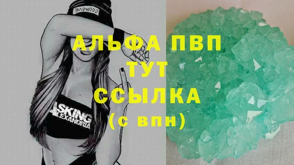 СК Алексин